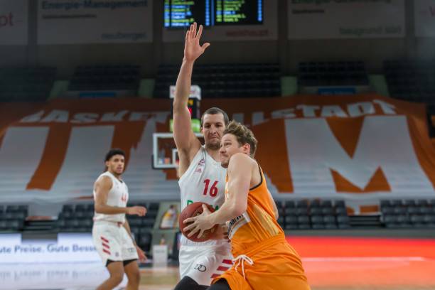 多特蒙德利 多特蒙德利