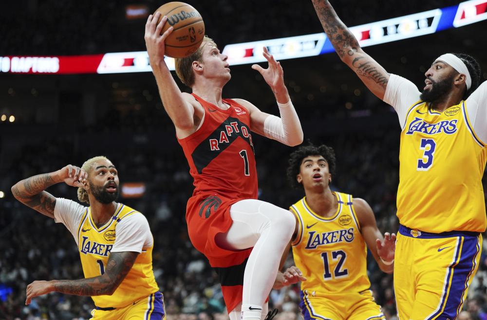 球队核心哈 球队核心哈